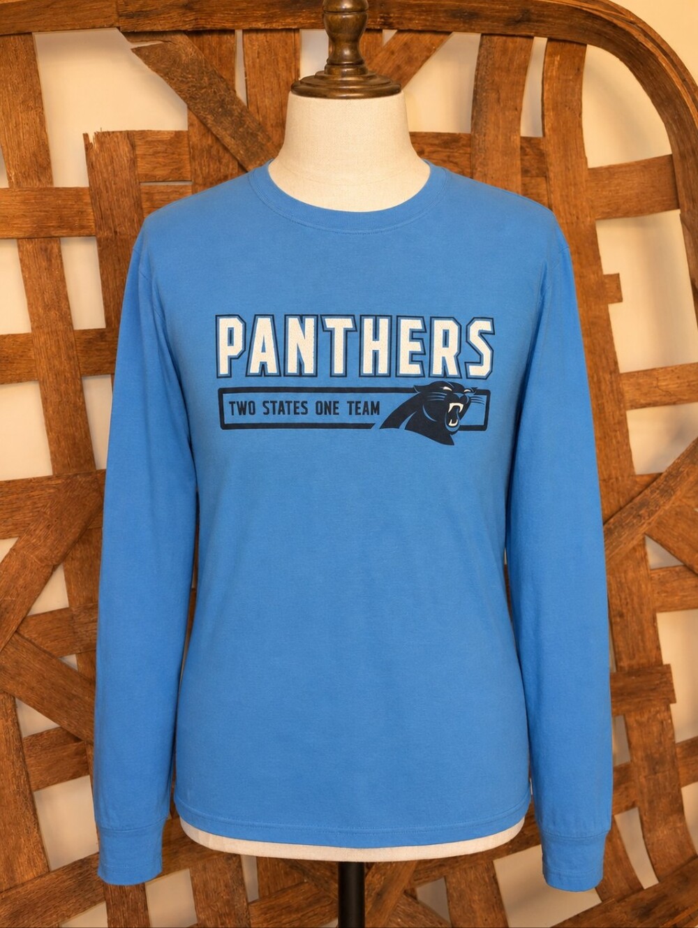 NFL Panthers Light Blue Long-Sleeve Tee with Team Logo